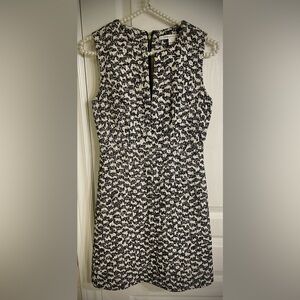 Diane Von Furstenberg Black and White Midi Dress
